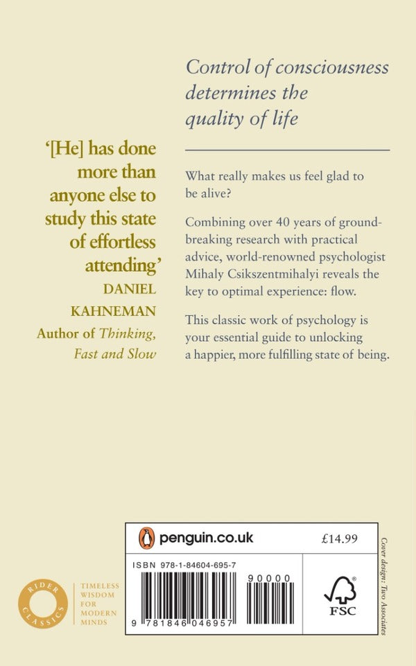 Flow. The Psychology Of Happiness Mihaly Csikszentmihalyi / Михай Чиксентмихайи 9781846046957-2