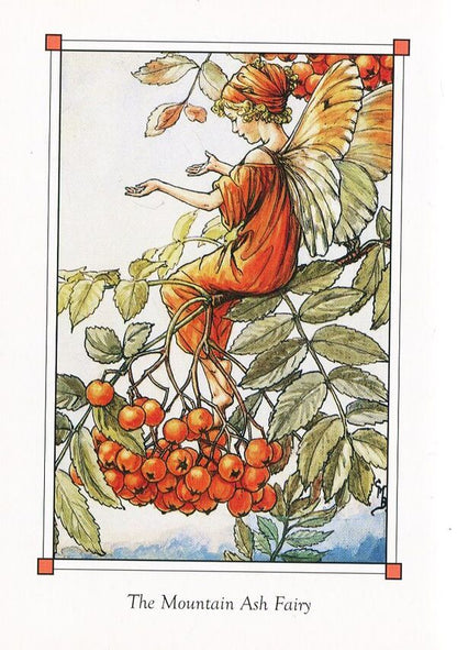 Flower Fairies Of The Autumn Cecil Mary Barker / Сесиль Мэри Баркер 9780241284575-6