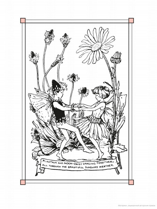 Flower Fairies of the Summer / Flower Fairies of the Summer Сесиль Мэри Баркер 9780241284551-4