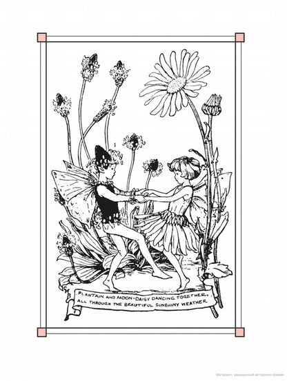 Flower Fairies of the Summer / Flower Fairies of the Summer Сесиль Мэри Баркер 9780241284551-4