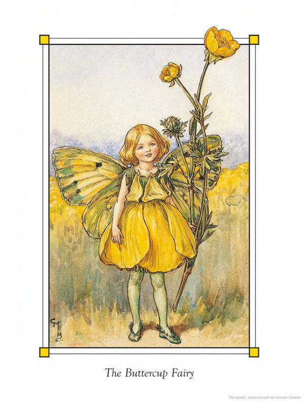 Flower Fairies of the Summer / Flower Fairies of the Summer Сесиль Мэри Баркер 9780241284551-6