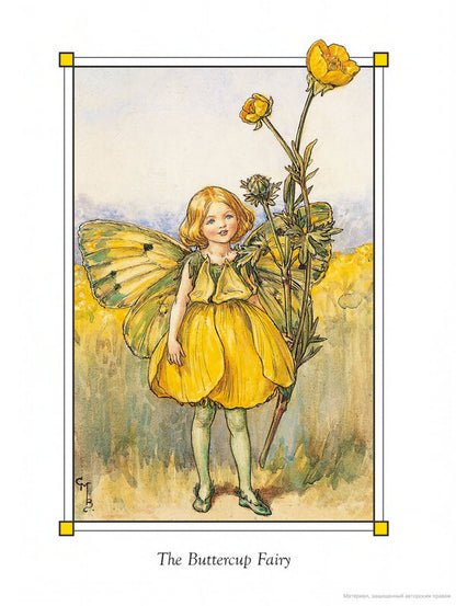 Flower Fairies of the Summer / Flower Fairies of the Summer Сесиль Мэри Баркер 9780241284551-6