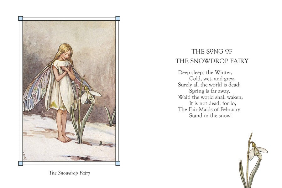 Flower Fairies of the Winter / Flower Fairies of the Winter Сесиль Мэри Баркер 9780241284568-3