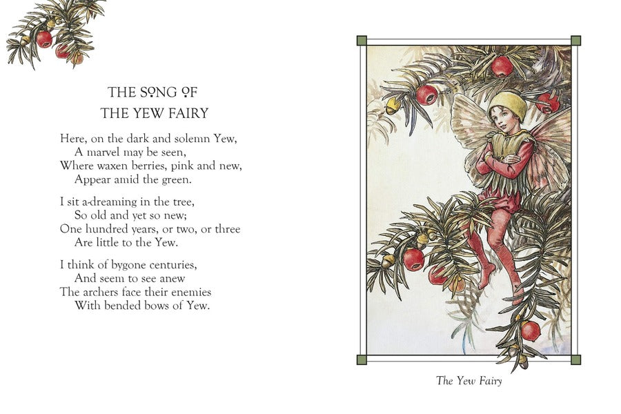 Flower Fairies of the Winter / Flower Fairies of the Winter Сесиль Мэри Баркер 9780241284568-5