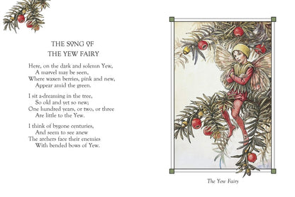 Flower Fairies of the Winter / Flower Fairies of the Winter Сесиль Мэри Баркер 9780241284568-5