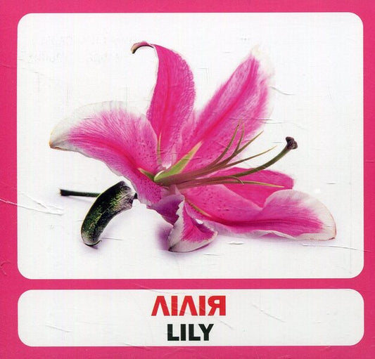 Flowers. Set Of Cards / Квіти. Набір карток / Author not specified 9789669751836-2