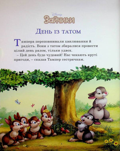 Fluffy stories. Collection of fairy tales / Пухнасті історії. Колекція казок  9786171601406-4
