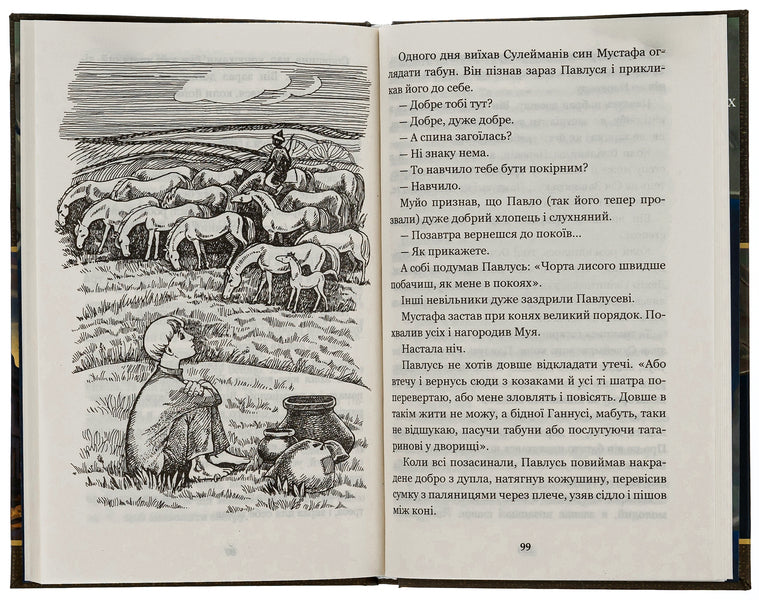 For my sister / За сестрою Андрей Чайковский 978-966-10-5125-5-5