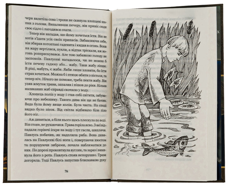 For my sister / За сестрою Андрей Чайковский 978-966-10-5125-5-6