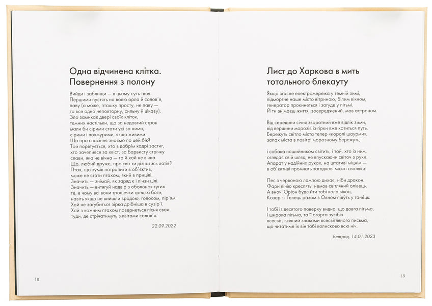 Forces Incorporeal, Human And Unmanned / Сили безплотні, людські й безпілотні Anna Yanovskaya / Анна Яновська 9786178023898-6
