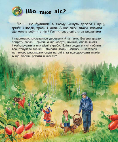 Forest / Ліс Юлия Каспарова 978-617-09-3619-6-3