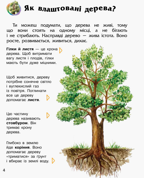 Forest / Ліс Юлия Каспарова 978-617-09-3619-6-5