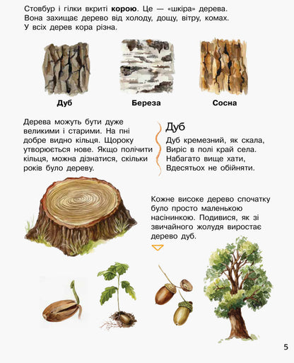 Forest / Ліс Юлия Каспарова 978-617-09-3619-6-6
