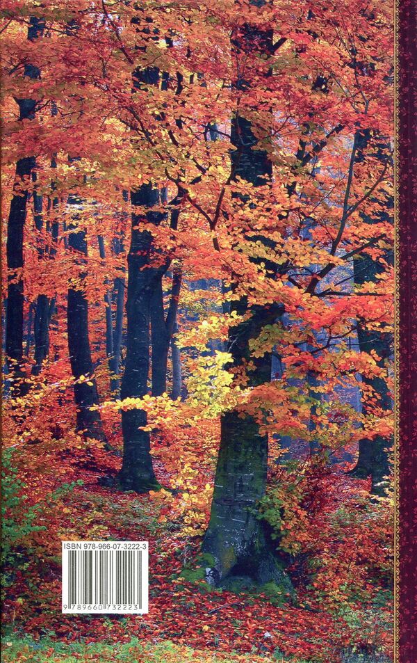 Forest Apocrypha. Book 3 / Апокрифи лісу. Книга 3 Петр Сорока 978-966-07-3222-3-2