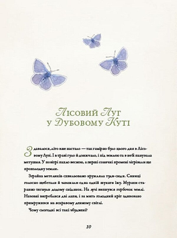 Forest Meadow Adventure Rescue Of The Queen Bee - Лсовий луг Пригодницький порятунок Бджолино королеви Stefan Wolf - Штефан Вольф 9786178801045-2
