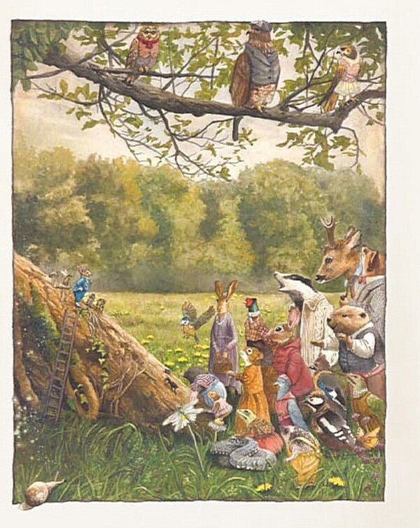 Forest Meadow Adventure Rescue Of The Queen Bee - Лсовий луг Пригодницький порятунок Бджолино королеви Stefan Wolf - Штефан Вольф 9786178801045-6