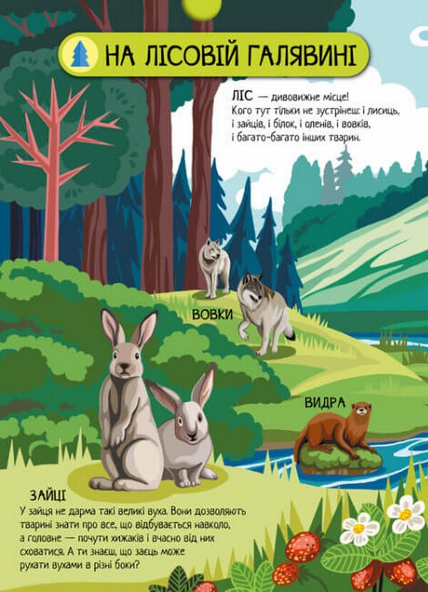 Forest animals / Тварини лісу А. Толмачова 978-617-09-7474-7-2