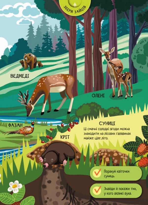 Forest animals / Тварини лісу А. Толмачова 978-617-09-7474-7-3
