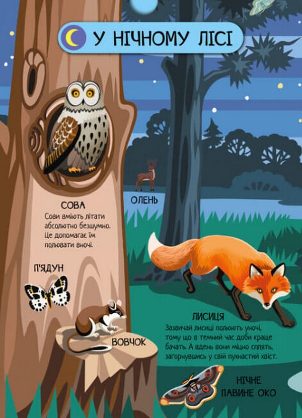 Forest animals / Тварини лісу А. Толмачова 978-617-09-7474-7-4