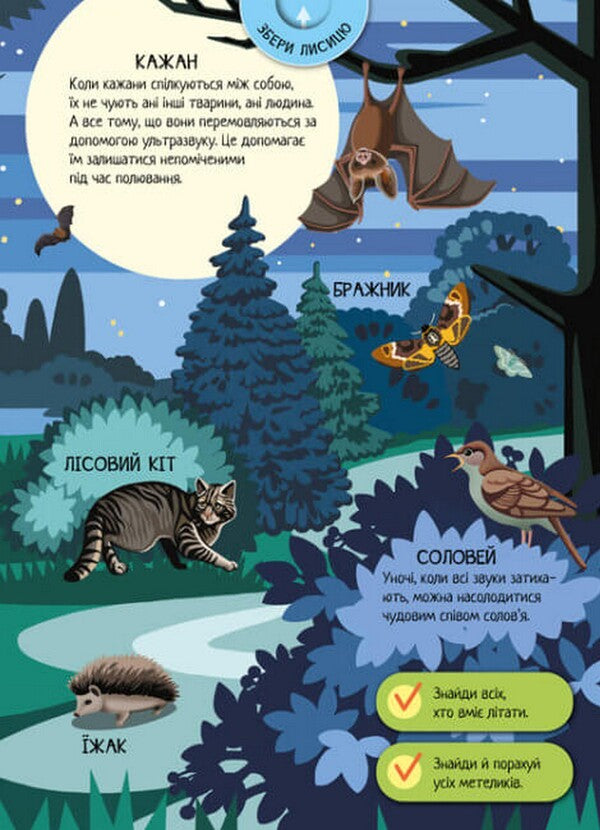 Forest animals / Тварини лісу А. Толмачова 978-617-09-7474-7-5