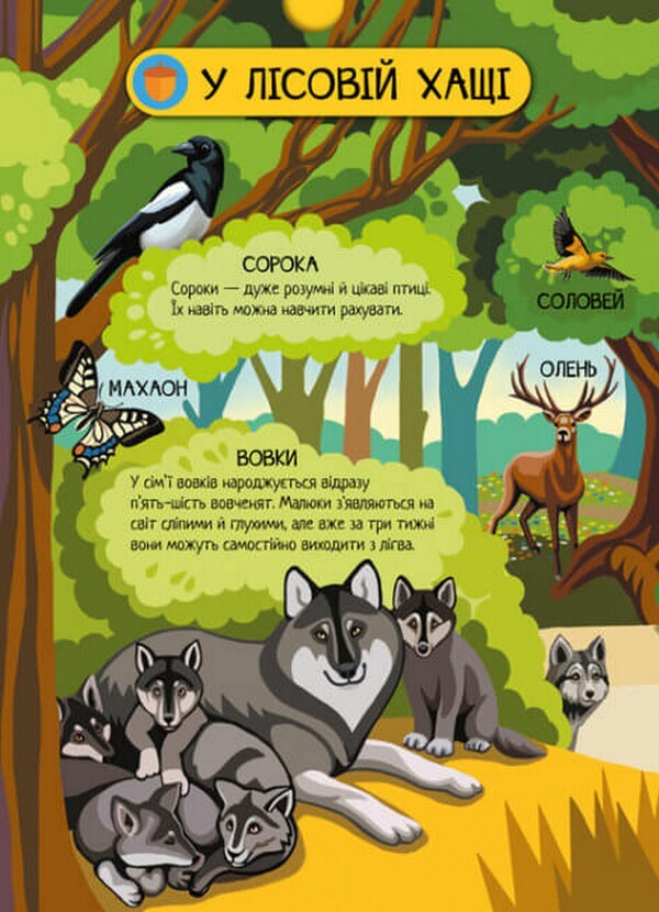 Forest animals / Тварини лісу А. Толмачова 978-617-09-7474-7-6
