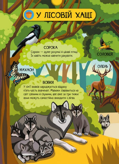 Forest animals / Тварини лісу А. Толмачова 978-617-09-7474-7-6