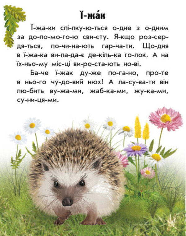 Forest animals / Тварини лісів Юлия Каспарова 978-617-09-8138-7-2