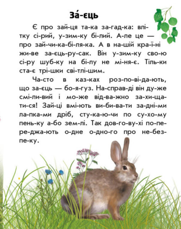 Forest animals / Тварини лісів Юлия Каспарова 978-617-09-8138-7-3