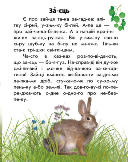 Forest animals / Тварини лісів Юлия Каспарова 978-617-09-8138-7-3
