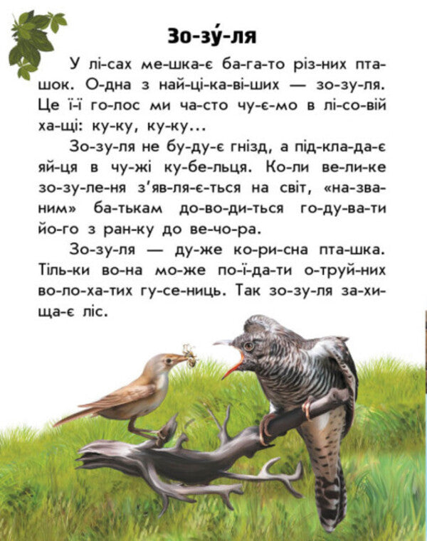 Forest animals / Тварини лісів Юлия Каспарова 978-617-09-8138-7-4