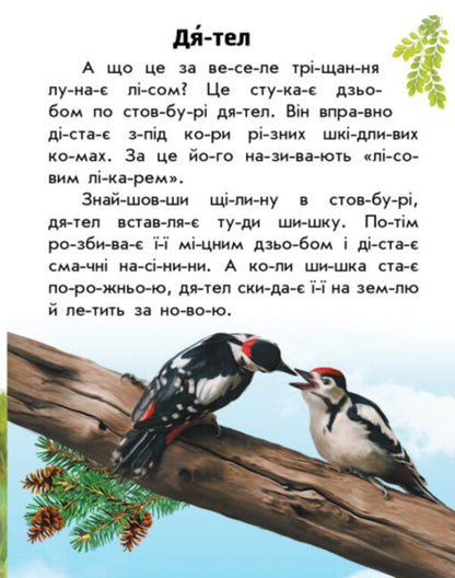 Forest animals / Тварини лісів Юлия Каспарова 978-617-09-8138-7-5