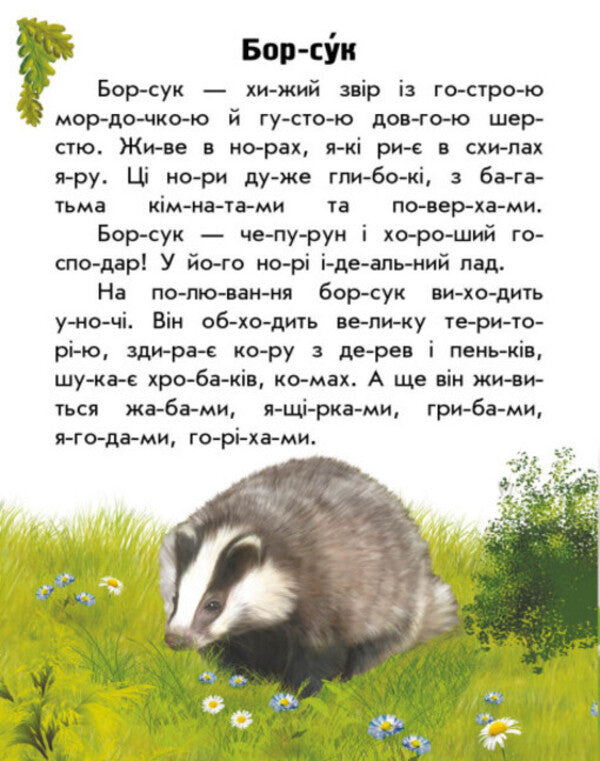Forest animals / Тварини лісів Юлия Каспарова 978-617-09-8138-7-6