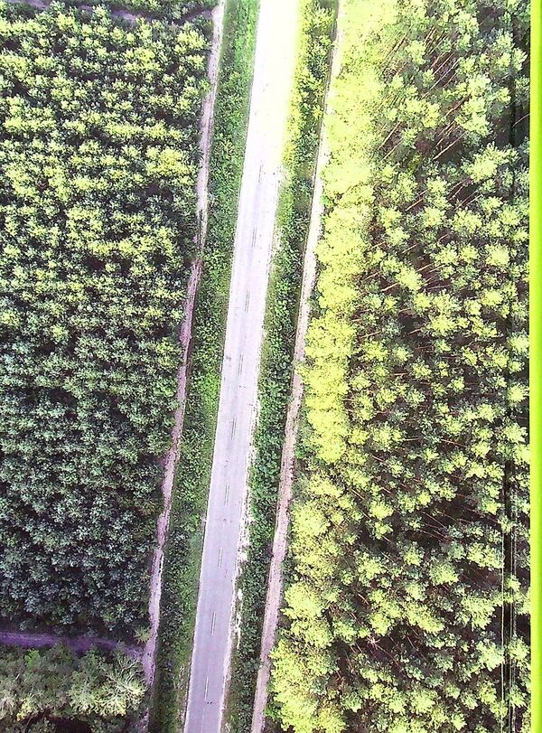 Forest tax guide / Лісотаксаційний довідник  978-966-2622-47-8-2