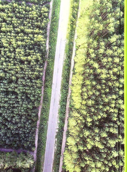 Forest tax guide / Лісотаксаційний довідник  978-966-2622-47-8-2