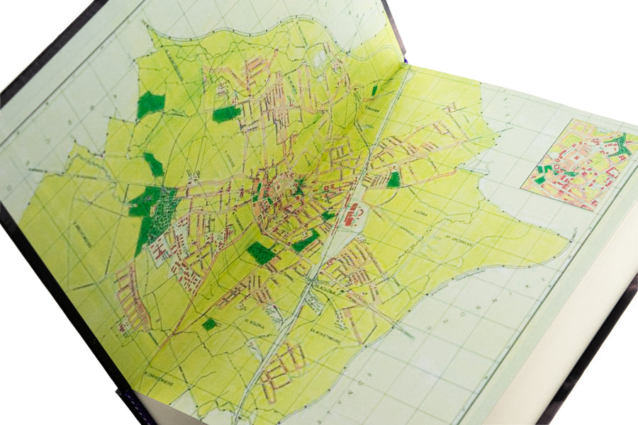 Forget me / Забудь мене Алексей Ганзенко 978-617-520-993-6-5