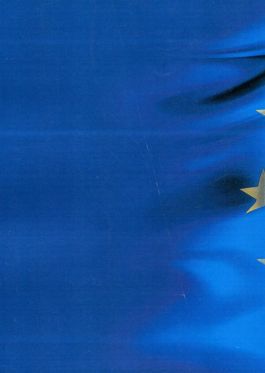 Forms of government in the countries of the European Union: legal models and political practice / Форми державного правління країн Європейського Союзу: юридичні моделі і політична практика Сергей Бостан 978-617-673-811-4-2