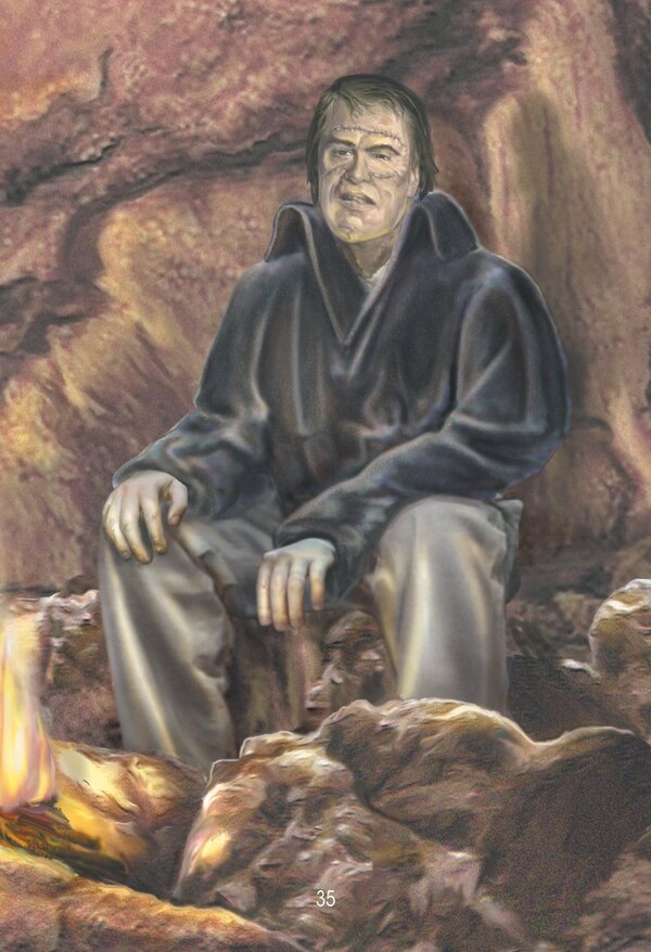 Frankenstein. Reader / Frankenstein. Reader Мэри Шелли, Элизабет Грей 978-1-84216-376-4-6