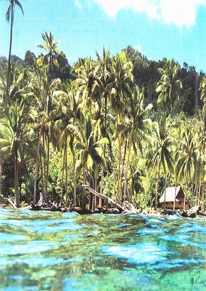 From New Guinea impressions. In the footsteps of Mykluha-Maklay / З новогвінейських вражень. На слідах Миклухи-Маклая Дмитрий Чуб 978-611-01-1962-7-3