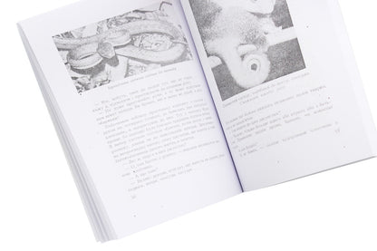 From New Guinea impressions. In the footsteps of Mykluha-Maklay / З новогвінейських вражень. На слідах Миклухи-Маклая Дмитрий Чуб 978-611-01-1962-7-6