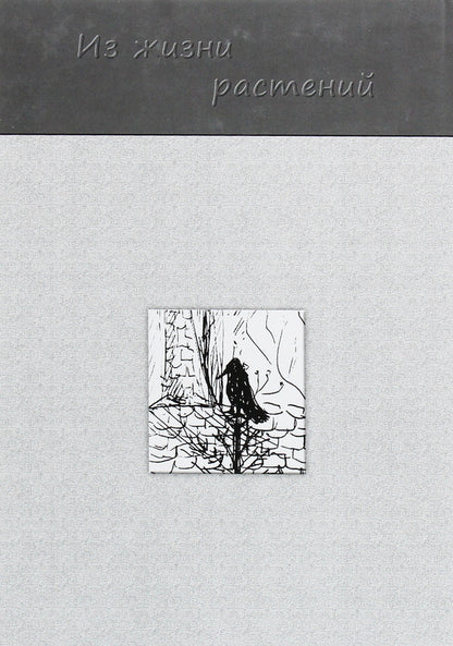 From plant life / Из жизни растений Мария Перцова 978-617-7817-32-0-2