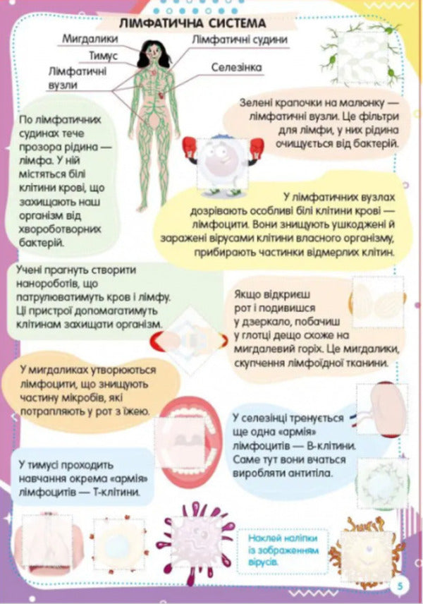 Fun Toys For Preschoolers Human Body - Весел забавки для дошкльнят Тло людини - Author not specified 9789669891426-2