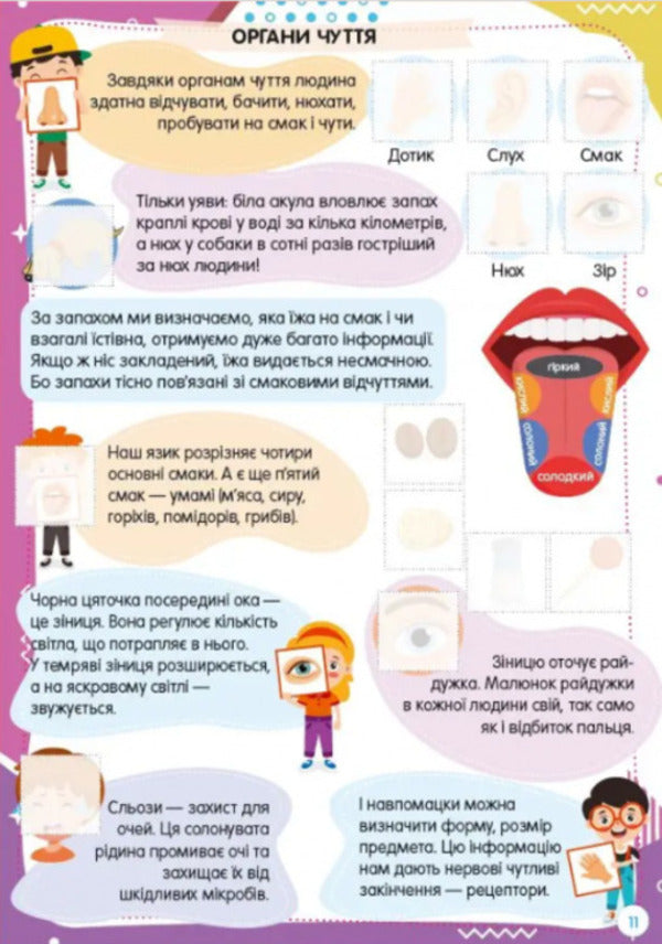 Fun Toys For Preschoolers Human Body - Весел забавки для дошкльнят Тло людини - Author not specified 9789669891426-3
