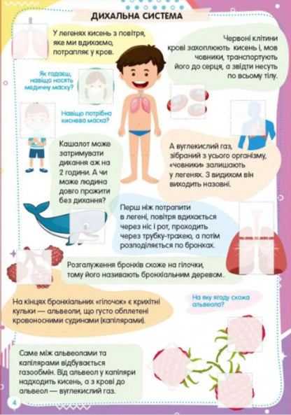 Fun Toys For Preschoolers Human Body - Весел забавки для дошкльнят Тло людини - Author not specified 9789669891426-4