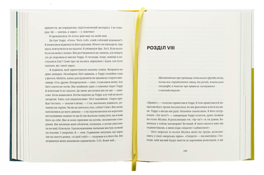 Fun and blood entertainment. Sarabanda gangs. New old grandmother / Забавки з плоті та крові. Сарабанда банди Сари. Нова стара баба Лариса Денисенко 978-966-448-437-1-6