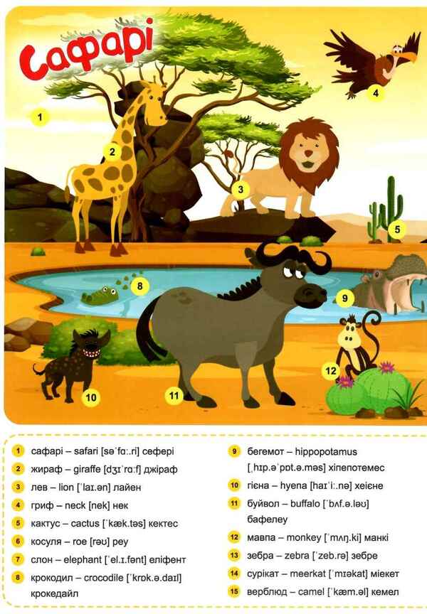 Funny English. Safari (+186 stickers) / Funny English. Сафарі (+186 наліпок) Анастасия Фисина 978-966-939-604-4-3