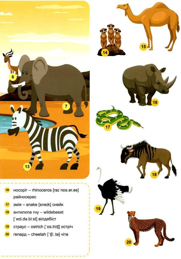 Funny English. Safari (+186 stickers) / Funny English. Сафарі (+186 наліпок) Анастасия Фисина 978-966-939-604-4-4