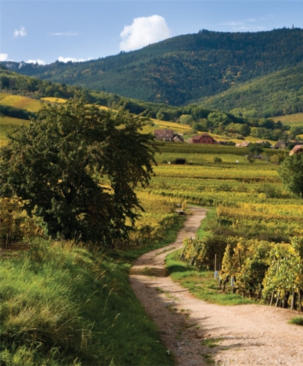 Gabriel Kreuther: The Spirit of Alsace, a Cookbook / Gabriel Kreuther: The Spirit of Alsace, a Cookbook Габриэль Кройтер, Майкл Рулман 9781419747823-2