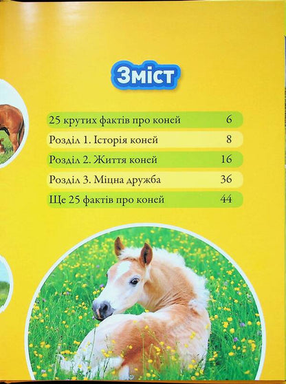Gallop! 100 Interesting Facts About Horses / Галопом! 100 цікавих фактів про коней Kitson Yazynka / Лист Кітсона 9786171600430-3