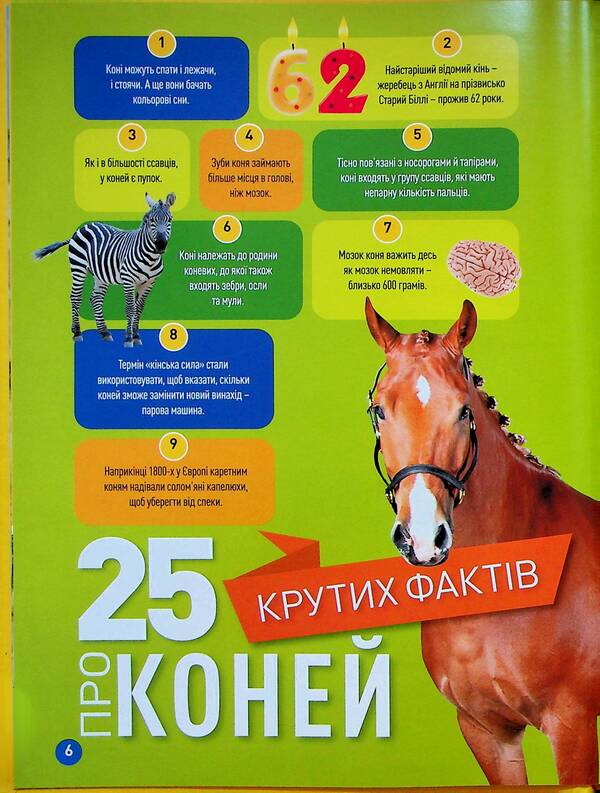 Gallop! 100 Interesting Facts About Horses / Галопом! 100 цікавих фактів про коней Kitson Yazynka / Лист Кітсона 9786171600430-4