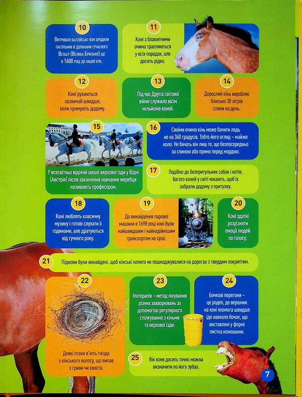 Gallop! 100 Interesting Facts About Horses / Галопом! 100 цікавих фактів про коней Kitson Yazynka / Лист Кітсона 9786171600430-5